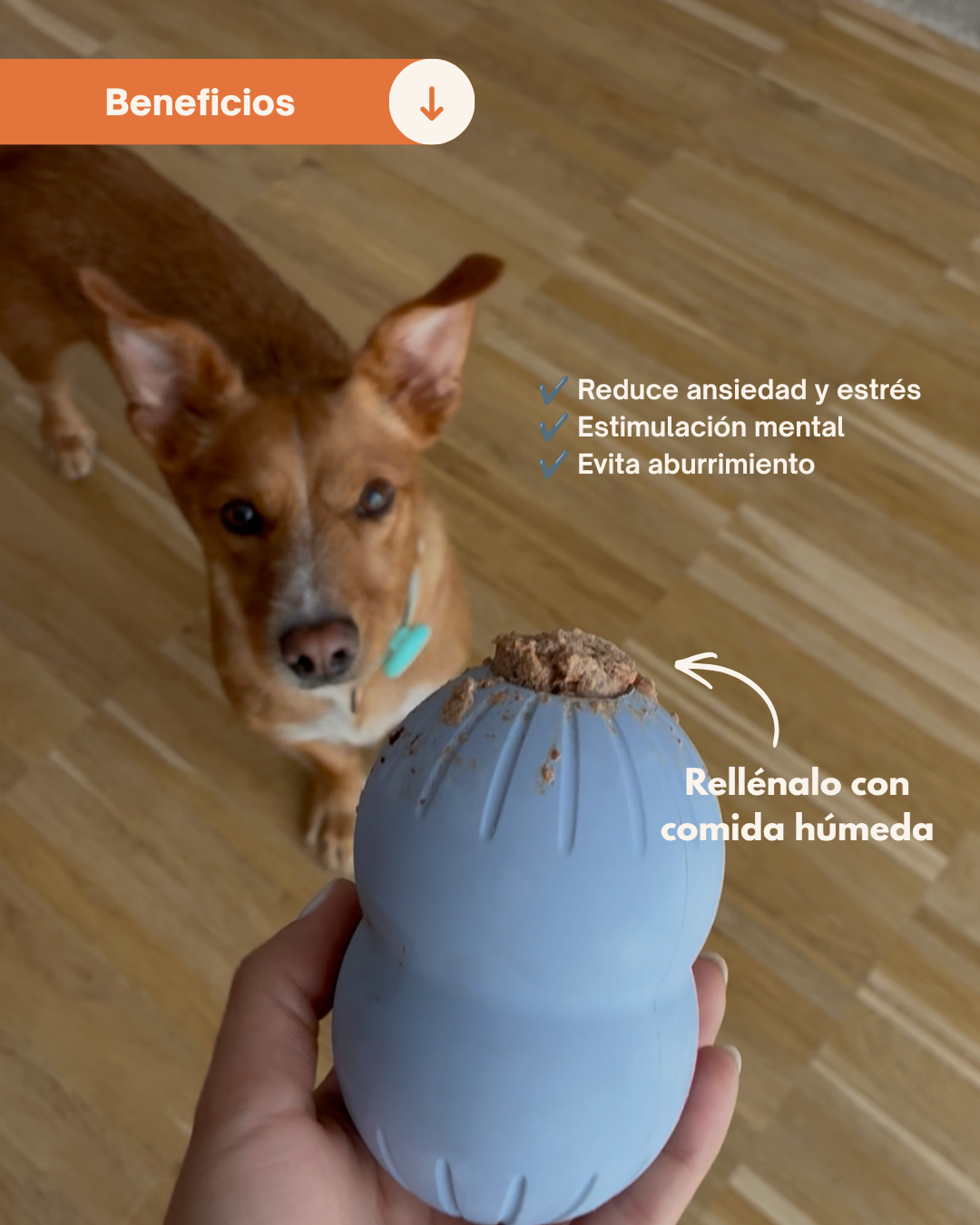 Juguete interactivo Lila