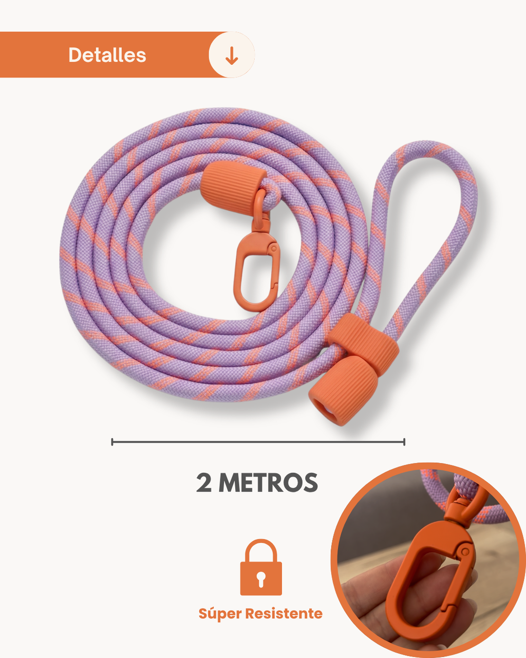 MASCOBOX RUTINA