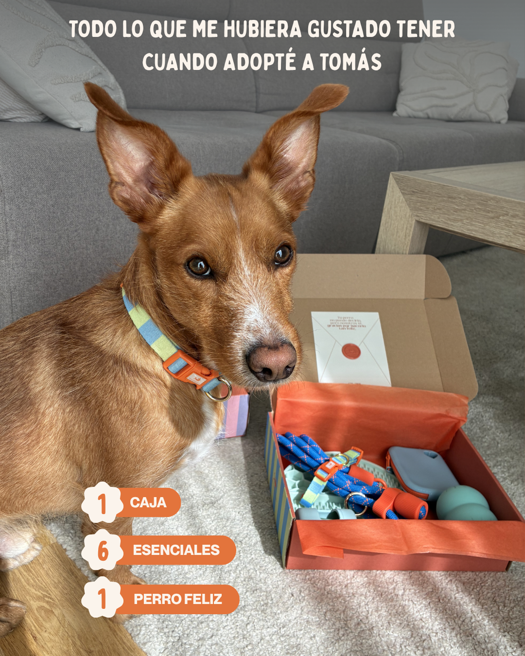 MASCOBOX ESENCIAL