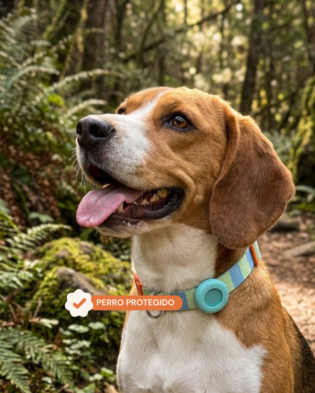 Pet Tracker GPS + Funda Azul