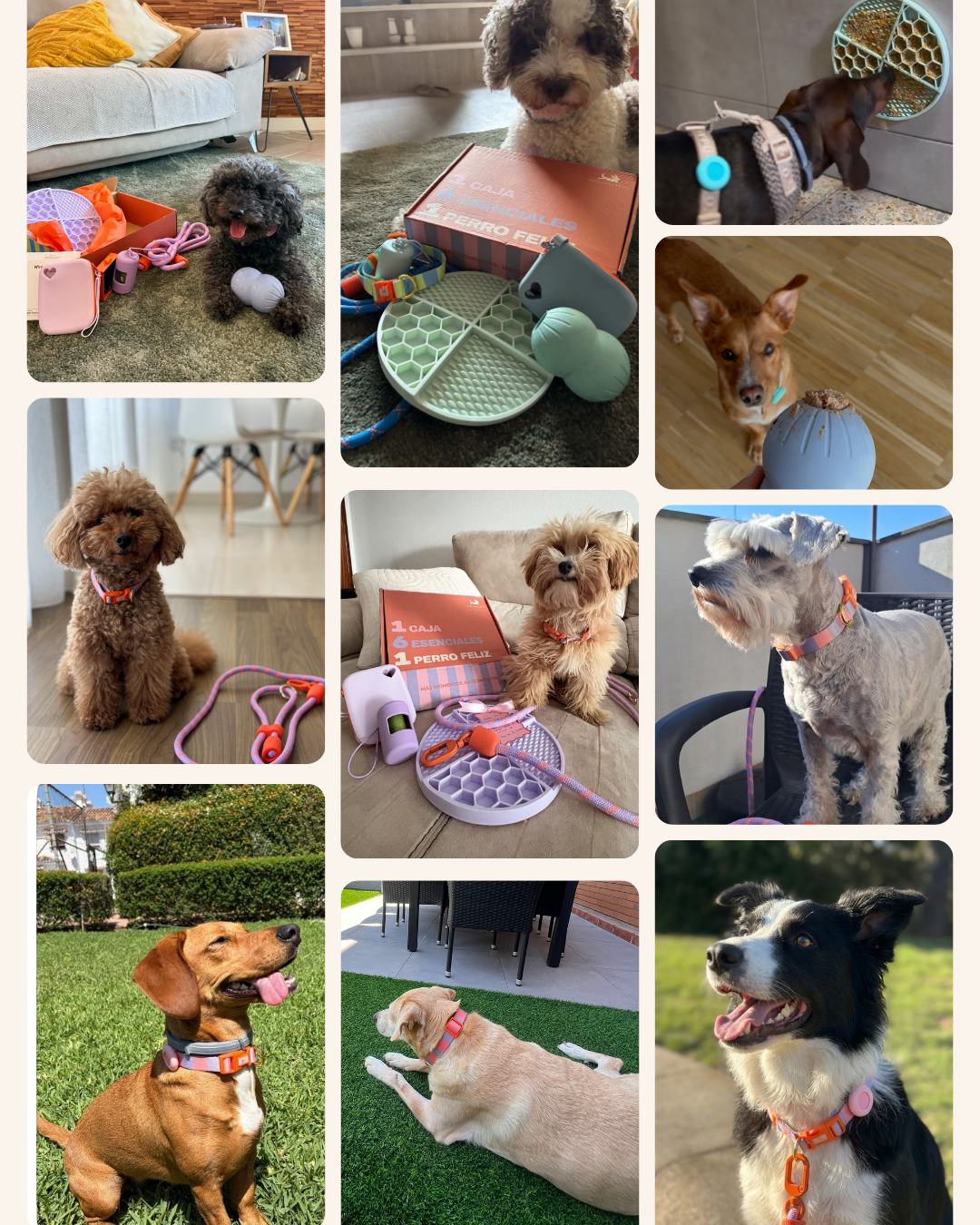MASCOBOX TRANQUILIDAD