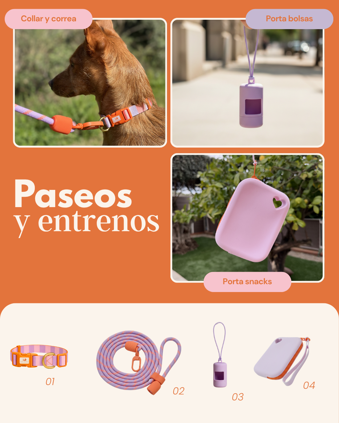 MASCOBOX ESENCIAL