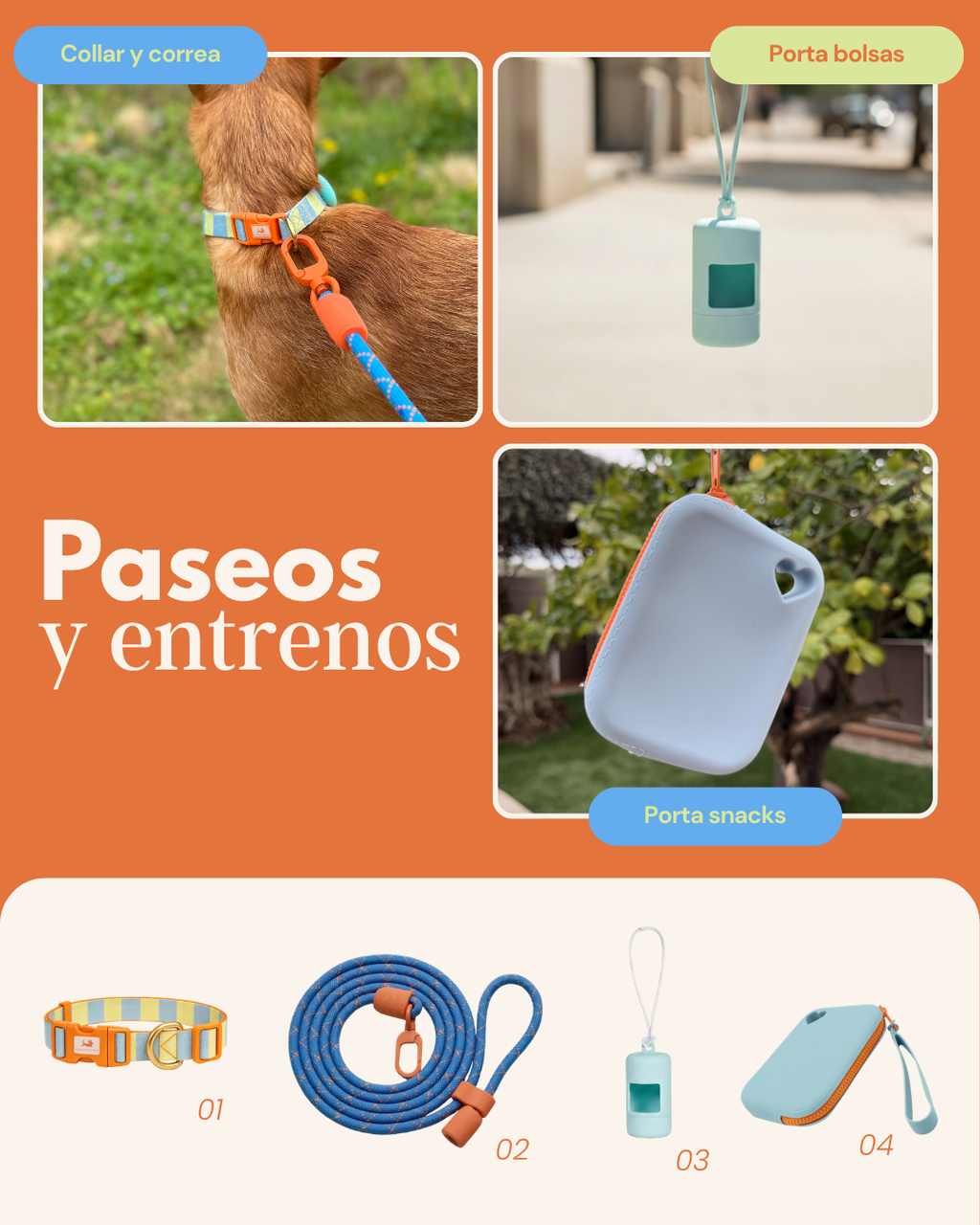 MASCOBOX ESENCIAL
